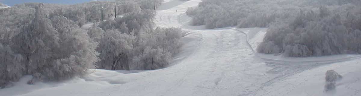 snowy ski resort
