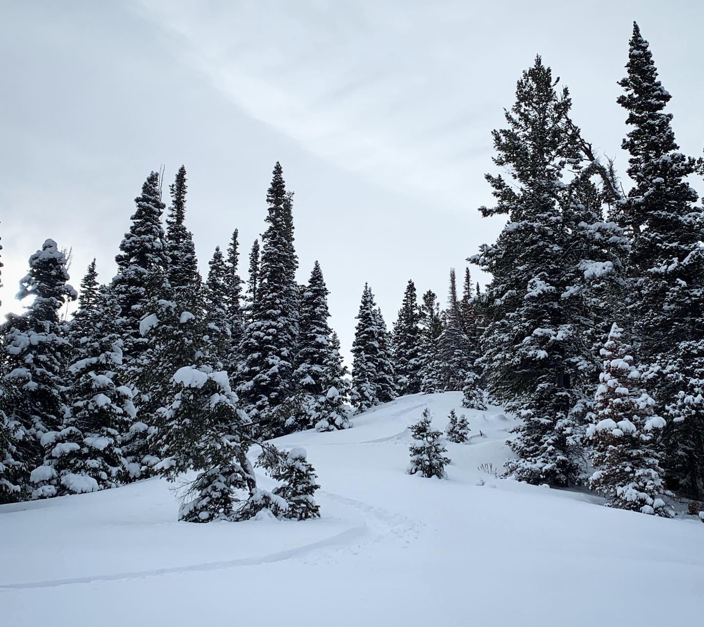 Naked Ski Touring For Women Only In Colorado