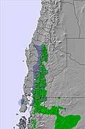 Central Andes snow map