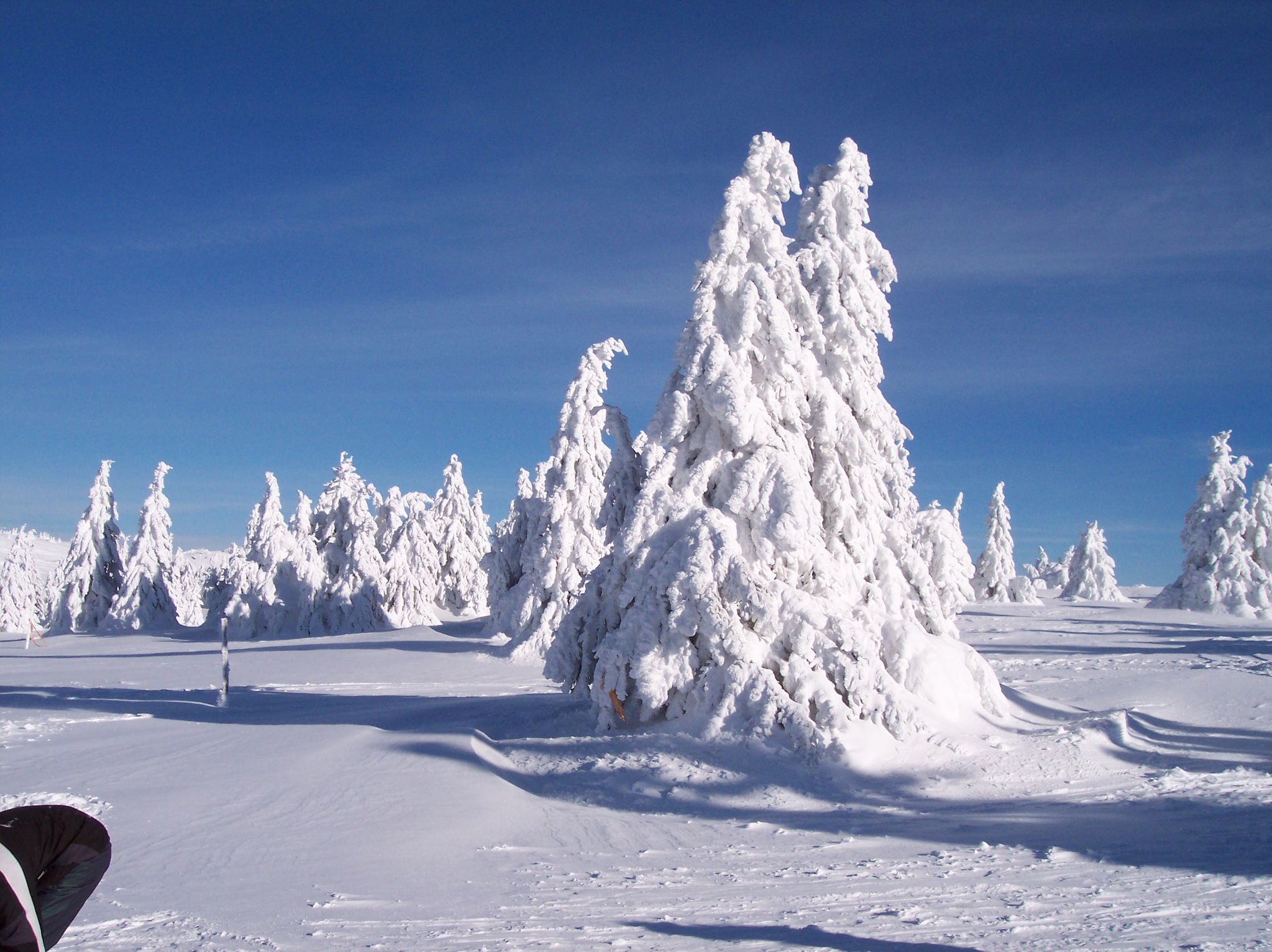 Snow Forecast Snow Reports Snow Conditions