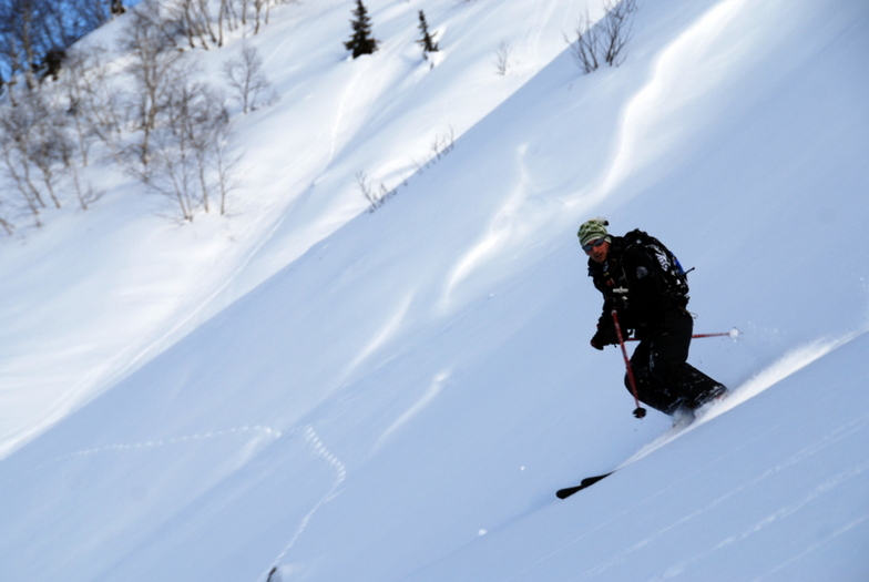 www.alpinturkey.com, Turkey Heliski-Ayder