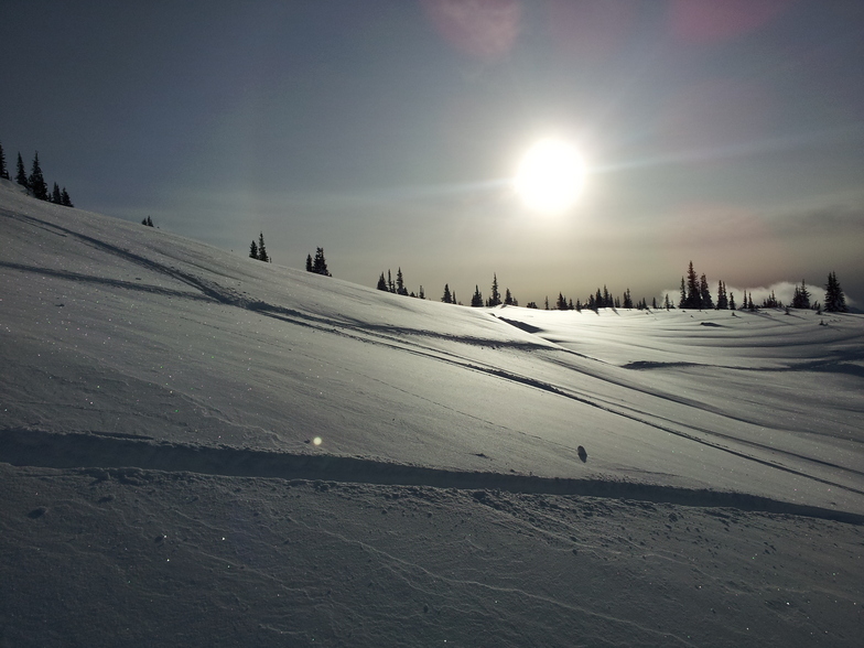 Run 16, more pow awaits, Whistler Blackcomb