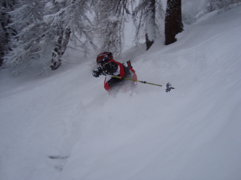 Godfrey in the trees above Davos