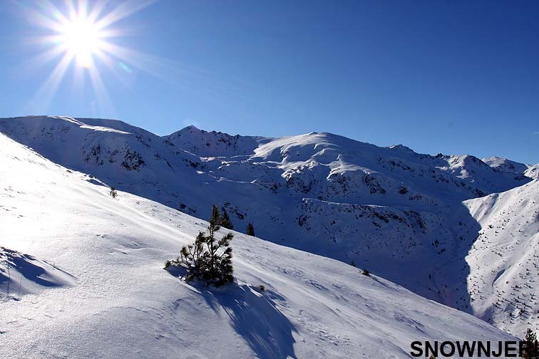 Ultra Sunny, Brezovica