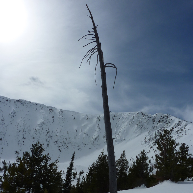 sentinel, Apex Resort