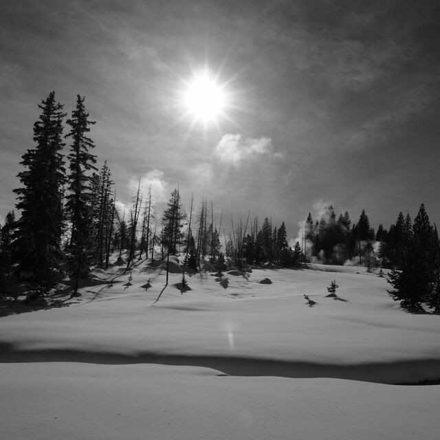 Tetons at Yellowstone, Sierra at Tahoe