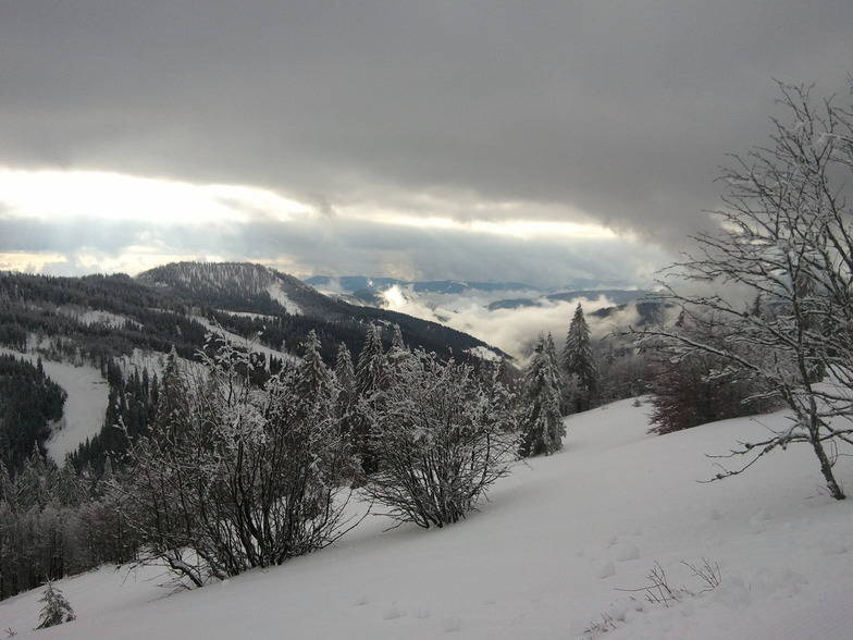 View from the "Panoramaweg", Feldberg