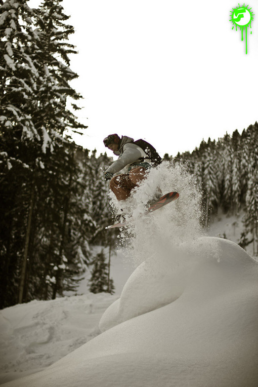 2012-01-17 | PowderRun, Hochzillertal-Kaltenbach