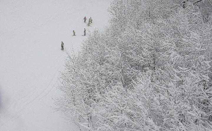 Geyikalanı, Kartepe