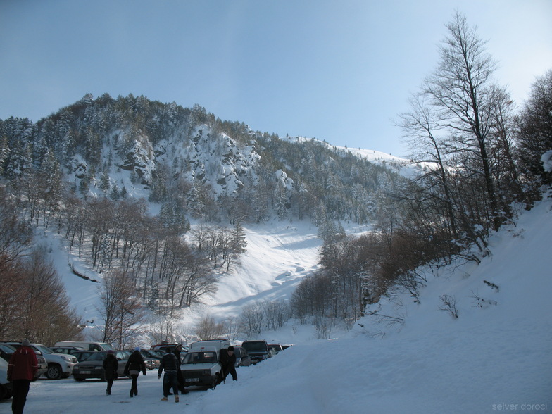 brezovica2