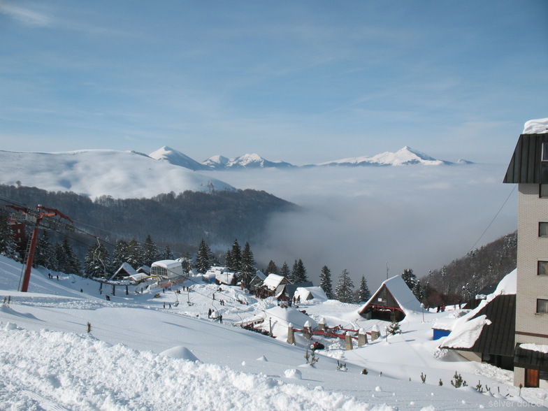 brezovica22