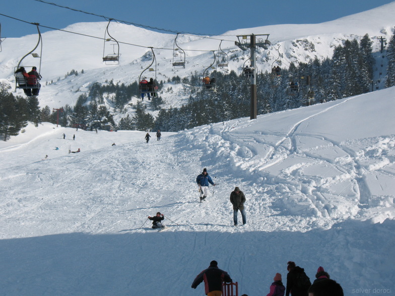 brezovica29