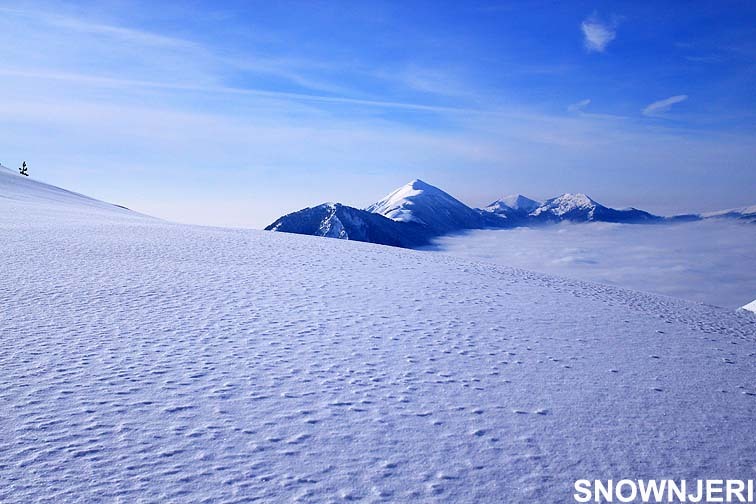 Polar Breza, Brezovica