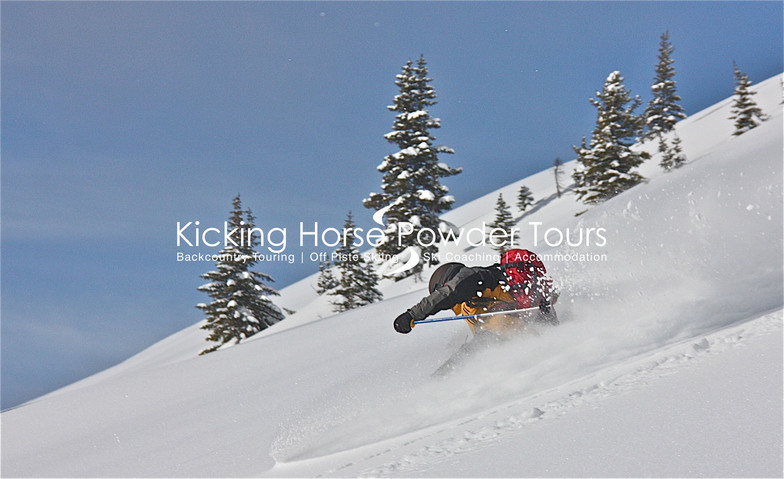 Teli skiing the powder..., Kicking Horse