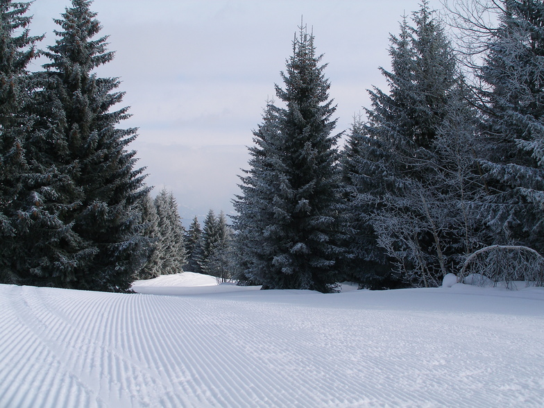 Frisch präpariert, Obersaxen - Mundaun - Val Lumnezia