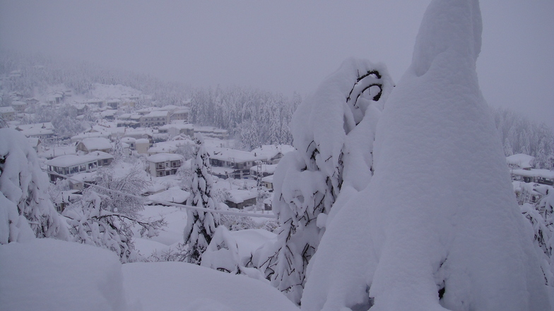 elati trikalon, Pertouli Ski Center