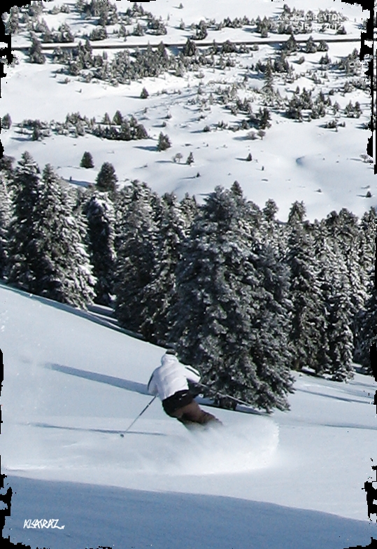 Tree powder skiing, Kalavryta Ski Resort