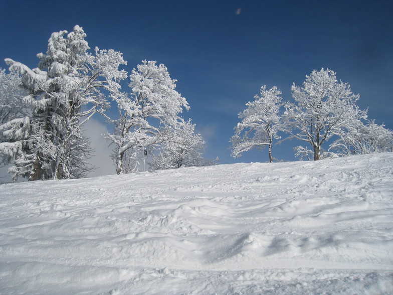 Mont Chery black run, Les Gets