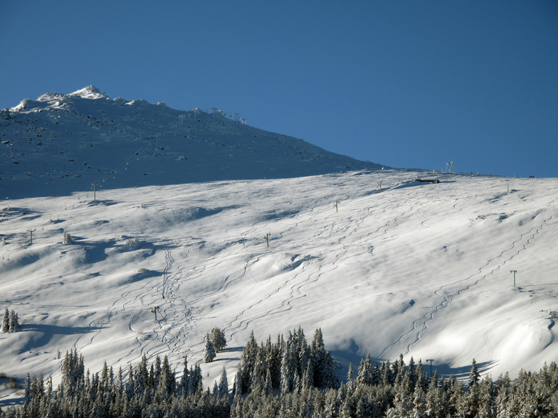 A day to remember, Vitosha