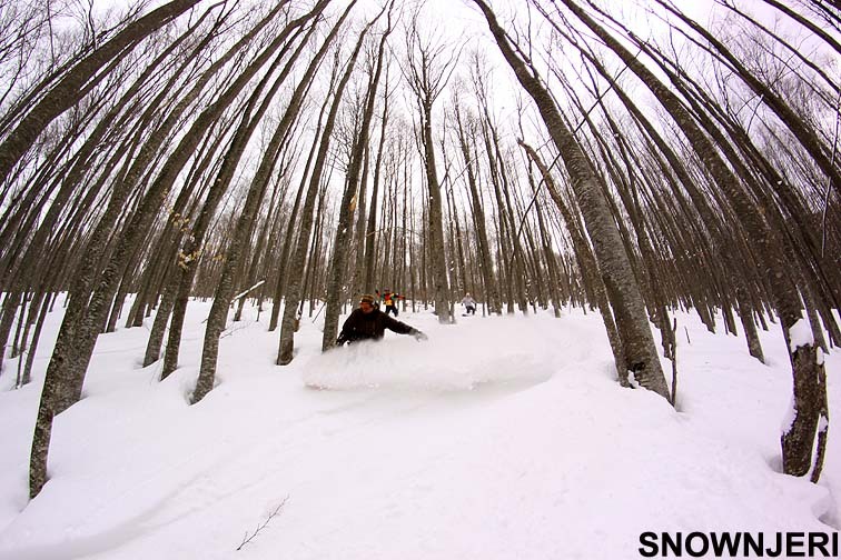 Forest Free Riding, Brezovica