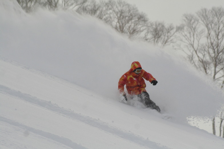 POWDER　RUSH！10, Winghills Shirotori Resort