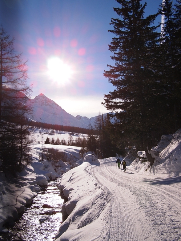 Cross Country Piste, La Fouly - Val Ferret