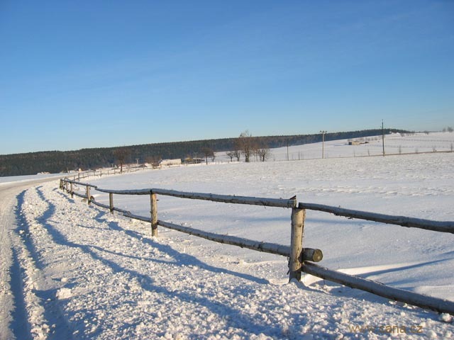 Snowy field