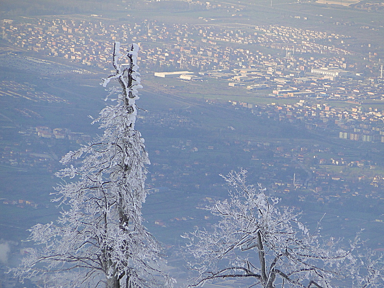 BERAT ADALI KARTEPE 2012 PHOTOS