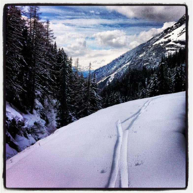 Fresh April Snow, Sainte Foy