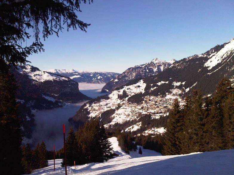 A long way still to go, Wengen