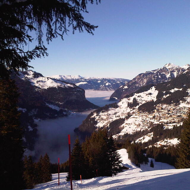 A long way still to go, Wengen