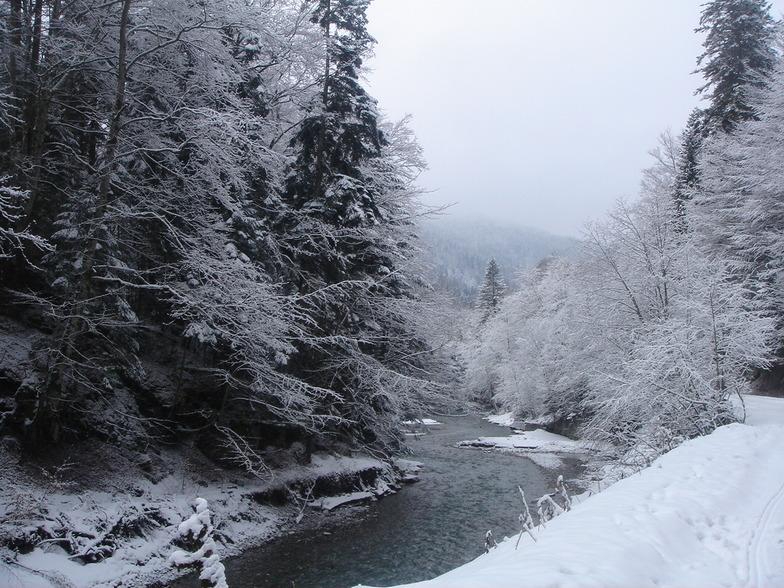 along the river, Azuga