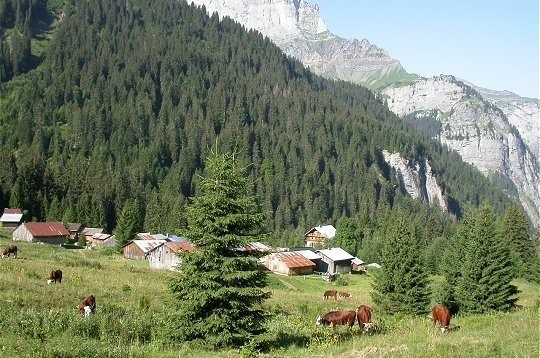 Chalet de Fonts, Samoens