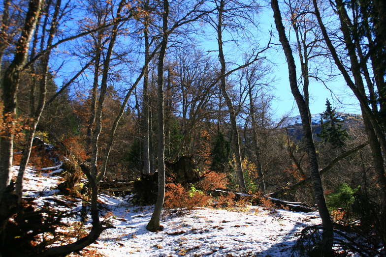 first snow in Villard Reculas, Villard-Reculas