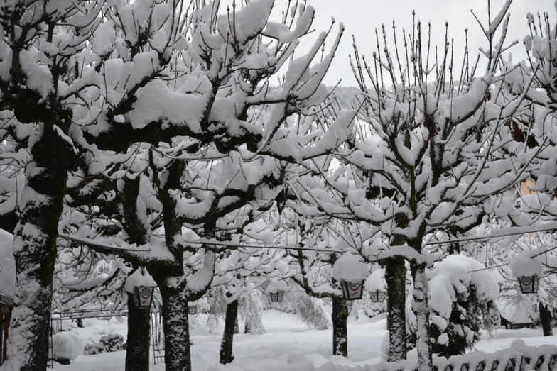 Black & White, Westendorf