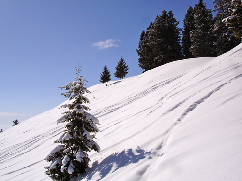 Sun Valley Snow Forecast (mid mountain)