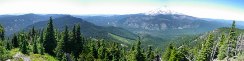 Mount Hood, Timberline