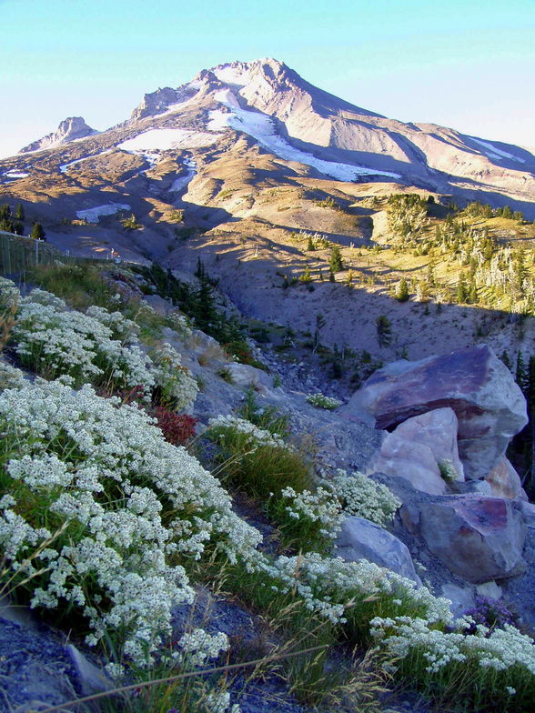 Mount Hood snow fields in September, Timberline