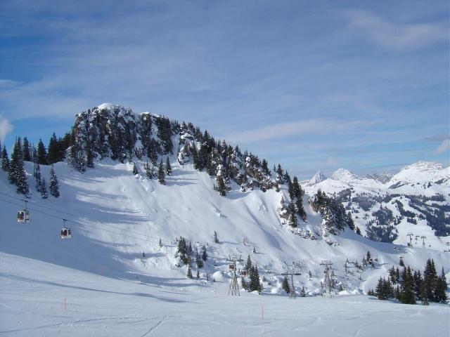 Fresh powder, Les Mosses - La Lécherette