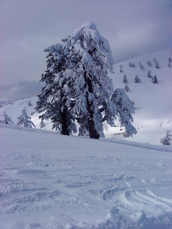 Winter in Greece, Vasilitsa