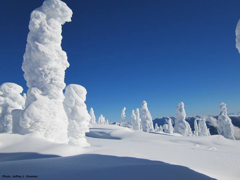 Snow Ghosts at Cypress Dec 30, 2012, Cypress Mountain