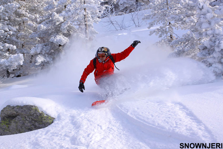 Red Dance, Brezovica