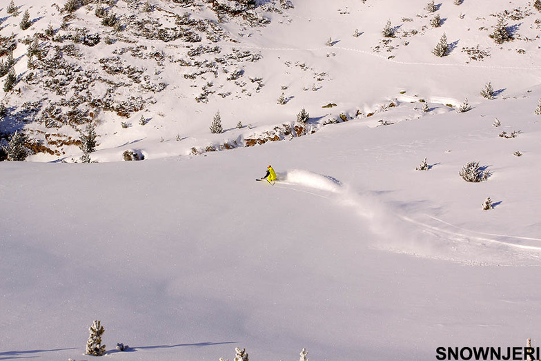 First Line, Brezovica