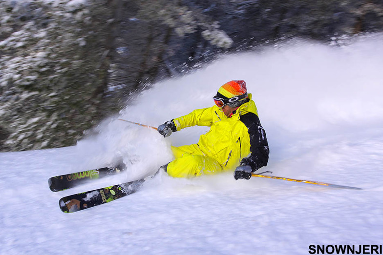 Action Fisi, Brezovica