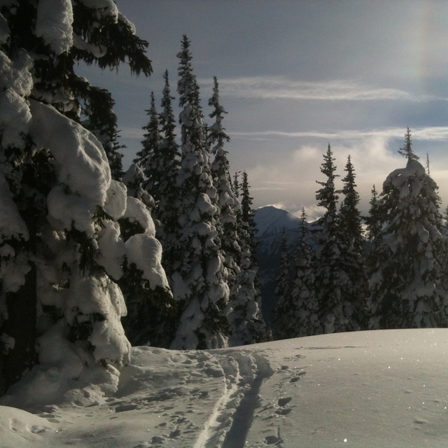 Off Piste Grassy, Manning Park Resort