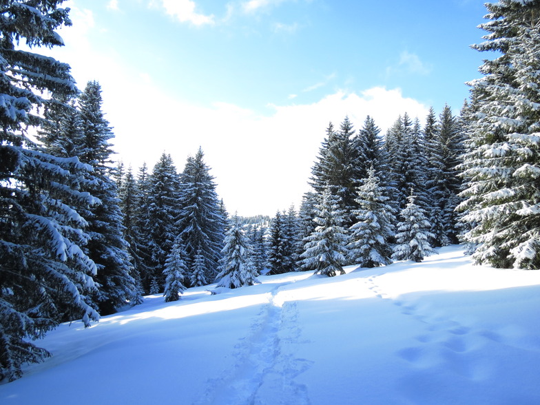 traces dans la poudreuse vierge, Avoriaz