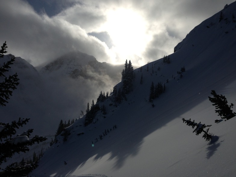 God smiles on the brave...., Kicking Horse