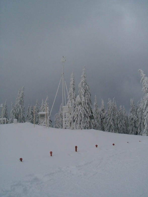 Snezhanka Peak-Pamporovo,BG