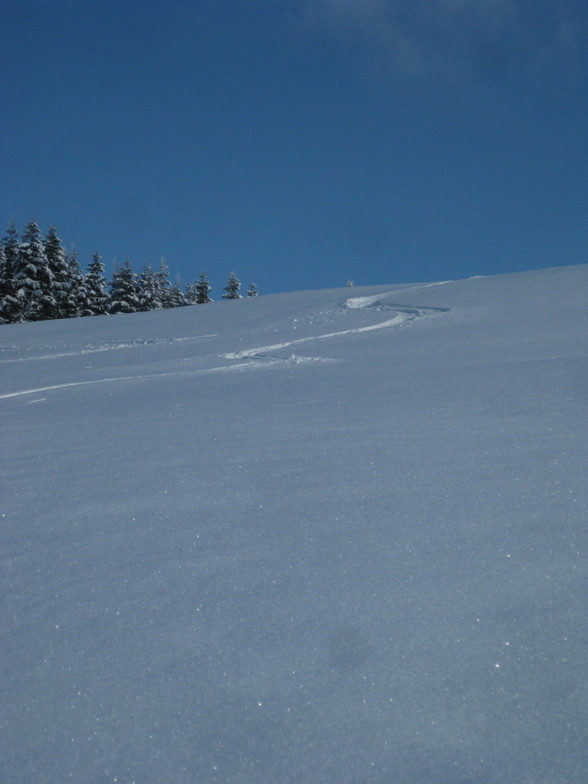 Fresh Snow, Todtnauberg