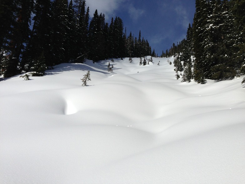 Ski the Pow Pow, Kicking Horse